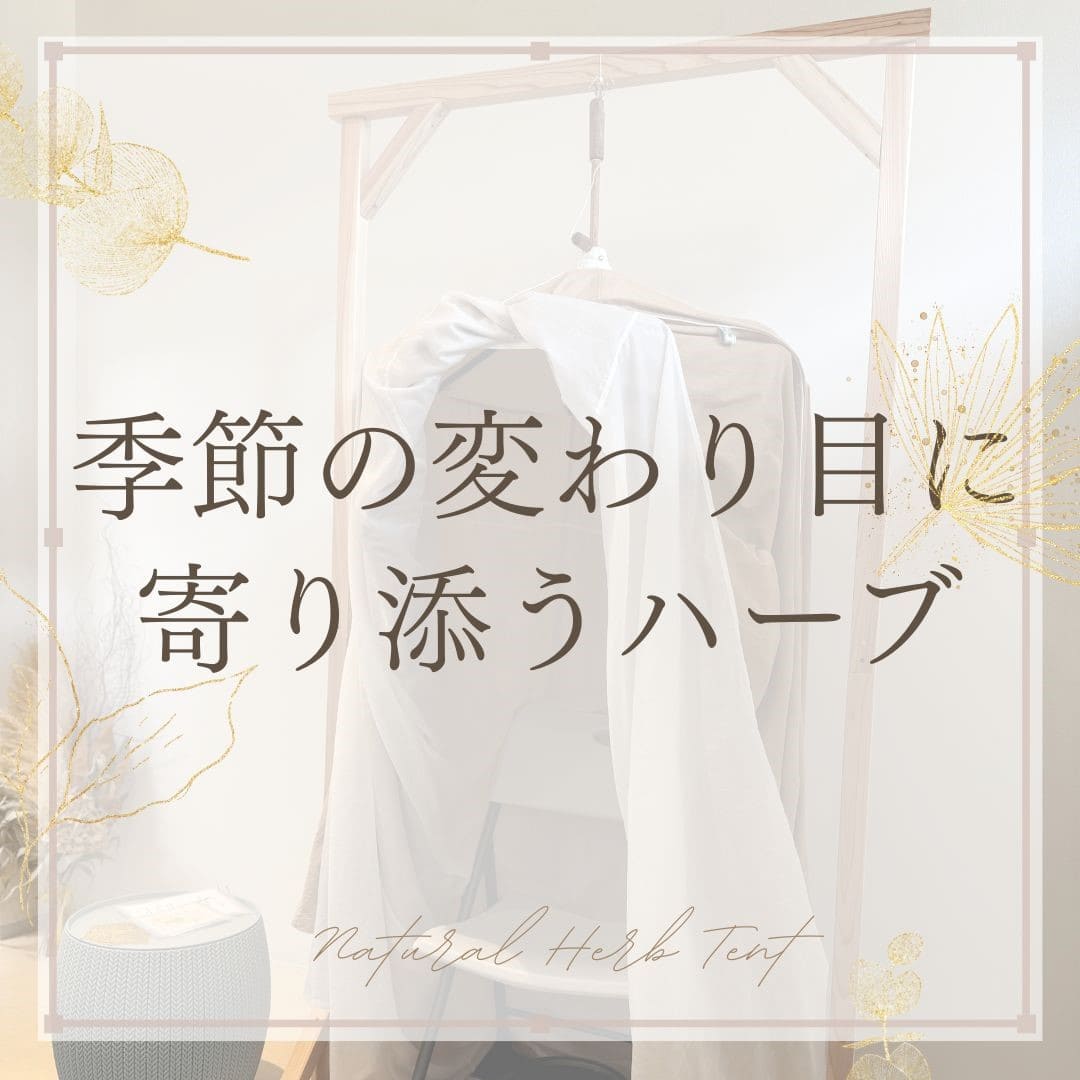 【季節の変わり目に寄り添うハーブの力】心と体をあたためる、冬支度のセルフケア